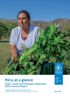 Peru at a glance